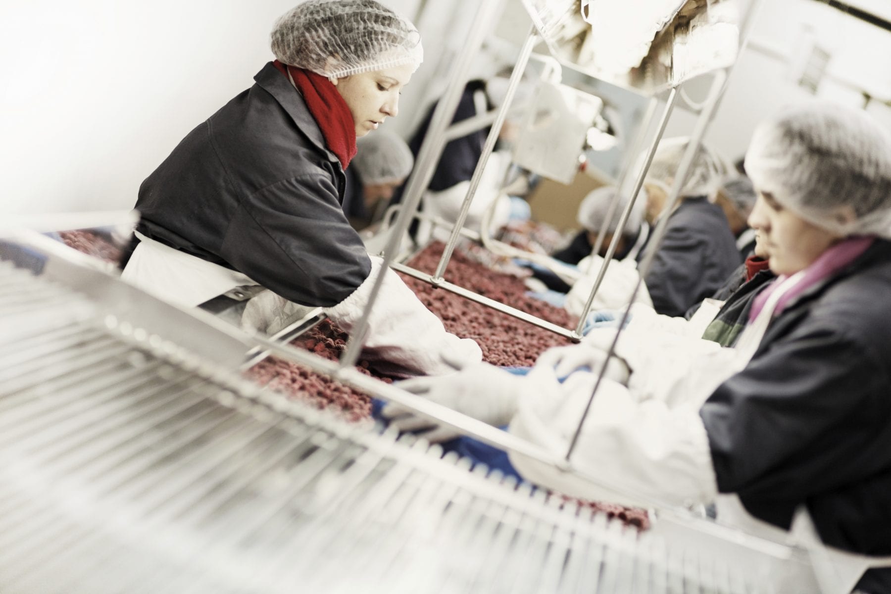 Workers not wearing PPE on a food processing production line